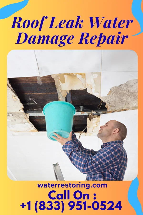 Roof Leak Water Damage Repair in Woodlawn Park, OK