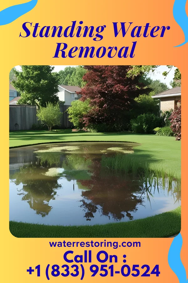 Standing Water Removal in Woodlawn Park, OK